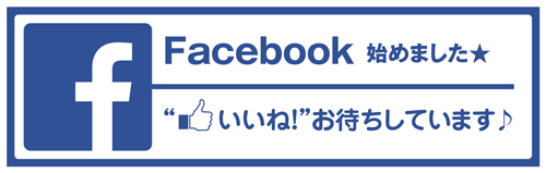 facebook_smg_web